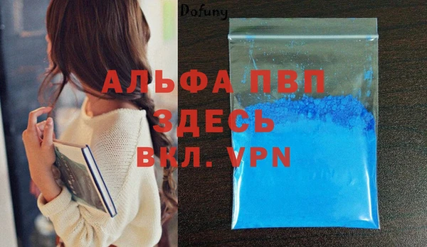 шишки Верхний Тагил