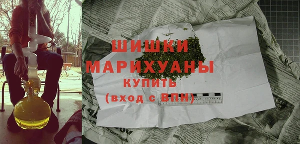 шишки Верхний Тагил