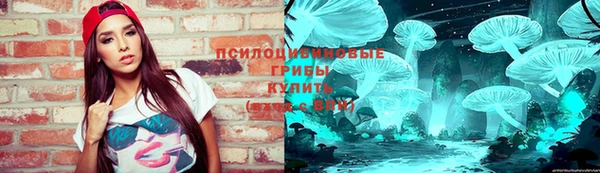 шишки Верхний Тагил