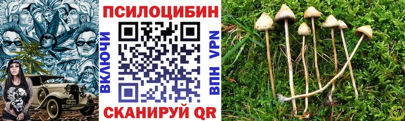 Псилоцибиновые грибы Psilocybine cubensis  наркота  Кингисепп 