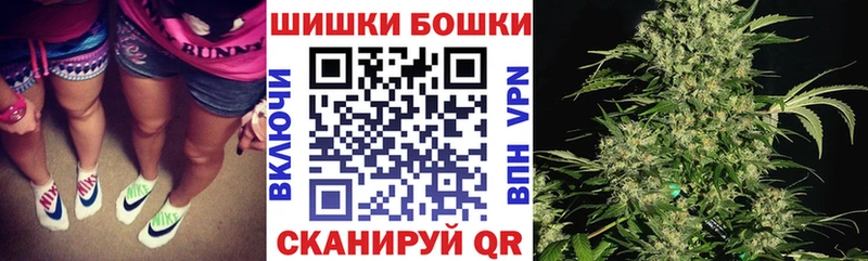 продажа наркотиков Кингисепп Бошки Шишки индика